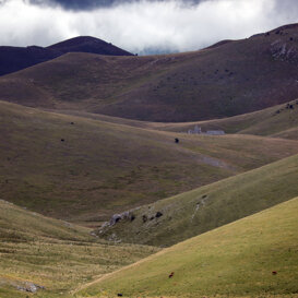 96f1a886-158c-4299-b1ce-7e4938abacaa