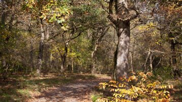 83fa898f-1416-4383-a471-46621347c75a