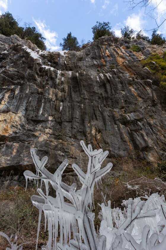 6e2ae9ae-f26f-4040-9c4a-a227034c59e2