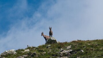 c5b42dcb-14ed-4523-84db-aa796d762934