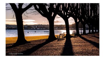 f851d118-6eb9-4076-a635-1cc5cbecc174