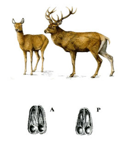 66b49acd-ddfd-422d-a60b-18abd11a1ac4