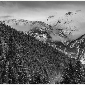 Photo by Armando Pezzarossa Adamas - Adamello Park