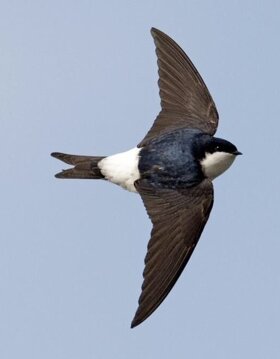 32bb9ae5-cb53-423b-8e79-58b87b5ac343 32bb9ae5-cb53-423b-8e79-58b87b5ac343