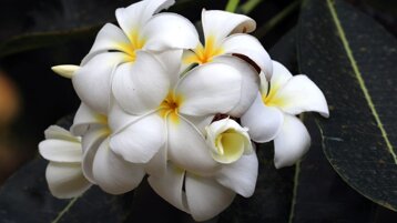 418d6697-cbaf-474a-89b8-1db104e4ecad