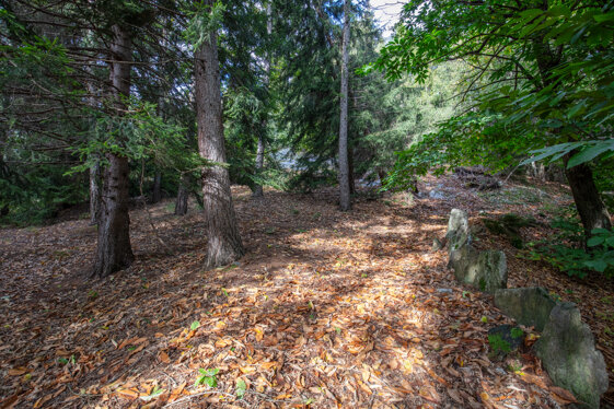 8f0f1fc8-955f-45ed-a011-882a3a086e8e 8f0f1fc8-955f-45ed-a011-882a3a086e8e