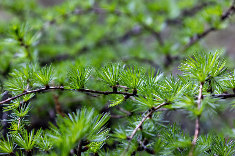 88bea573-7f99-4e6c-9827-3d30e3781d71 88bea573-7f99-4e6c-9827-3d30e3781d71