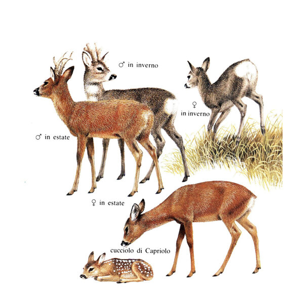 2f875cc8-71c2-46cf-9e68-8da0959b5e97