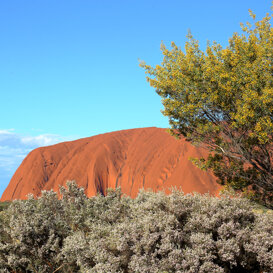 Uluru - Australia Photo by Lorenzo Marchetti