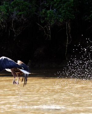 eyJpdCI6IiJ9 eyJpdCI6IiJ9