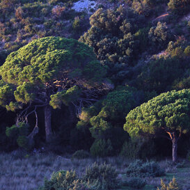 Photo by Lorenzo Marchetti