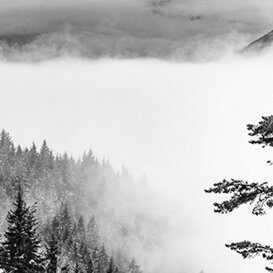 Photo by Armando Pezzarossa Adamas - Adamello Park