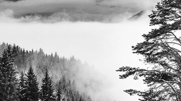 c33a15e9-cbde-44e6-9853-a749fa2e7192