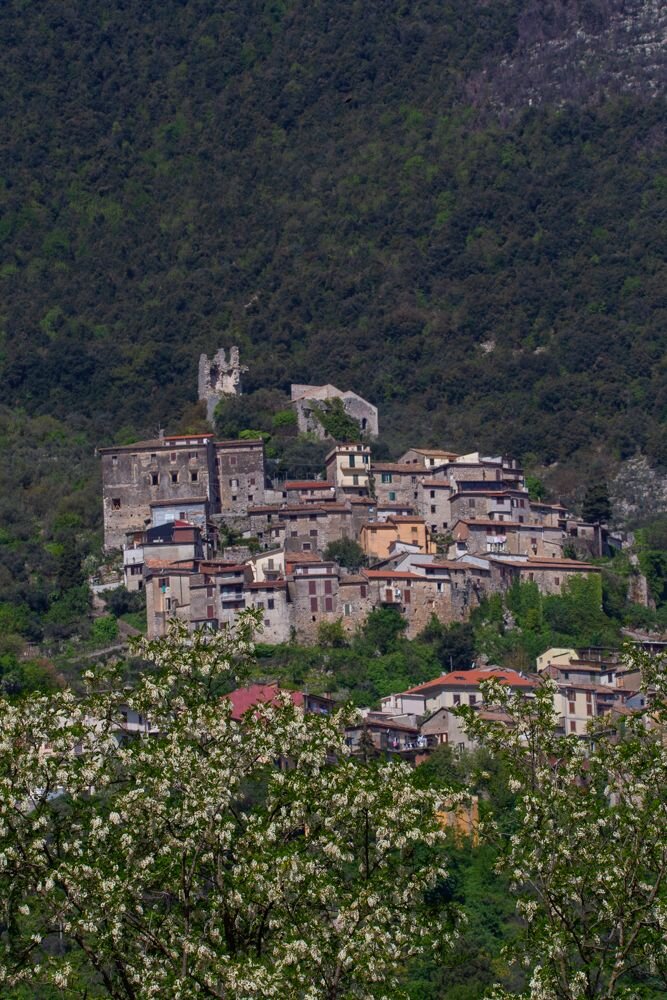 d3f73176-0ce1-4707-9501-241677e821e8