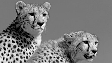 5f9e1f2a-07f3-4e1d-ac1d-64c5fe2236e3