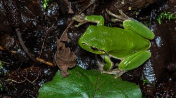 944c2032-3350-4a26-9b93-ca621951410c