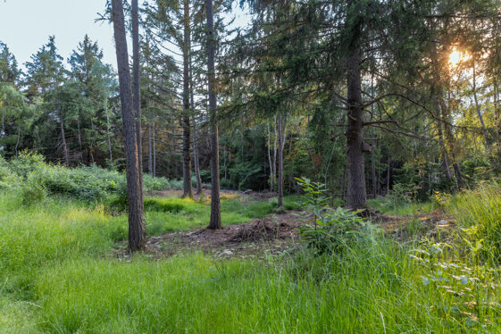 80fd8a4d-990d-4884-b28f-b406d3bd736e 80fd8a4d-990d-4884-b28f-b406d3bd736e