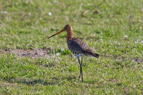 5a433eb3-8499-4c9d-9e07-6ccb8d335cb3