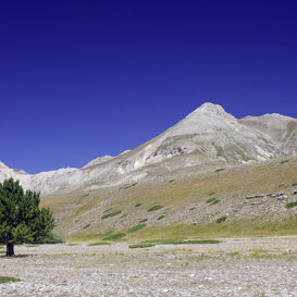 Photo by Lorenzo Marchetti