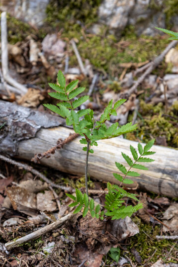 a2f16eb6-0830-4f76-bab7-da79f648d5fb a2f16eb6-0830-4f76-bab7-da79f648d5fb