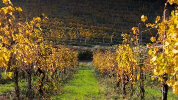 9f2419e4-3d9d-4918-8b08-b8b1b4cddaad