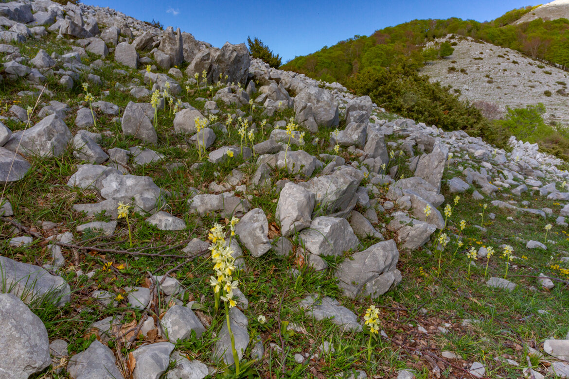 d3bd6d9c-65fd-481e-be9d-9881eb362e8a