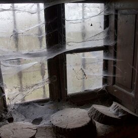 Francesco Pelle The window in the cellar...