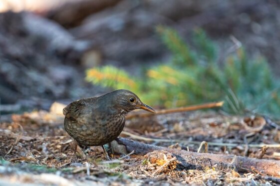 8cc391b2-9fb1-43b4-80c8-ab706bc5fb08 8cc391b2-9fb1-43b4-80c8-ab706bc5fb08