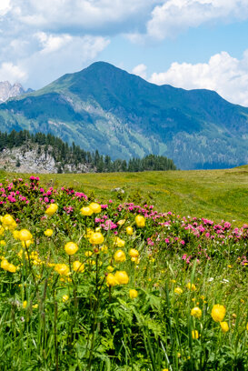 Alleghe BZ - 2020 Fuji xt2 + 55-200 1/125 f/18 ISO 400