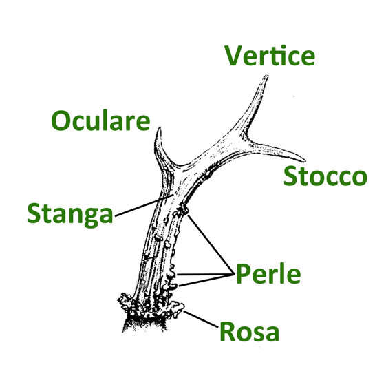 f366c24b-0b20-4813-9c9b-280e1a76b73a