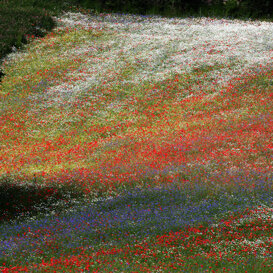 Photo by Lorenzo Marchetti Abruzzo