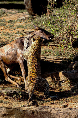 579b29ec-a48a-49f9-81d6-dd0755aa3bdb