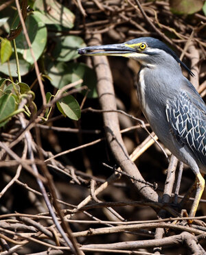 eyJpdCI6IiJ9 eyJpdCI6IiJ9