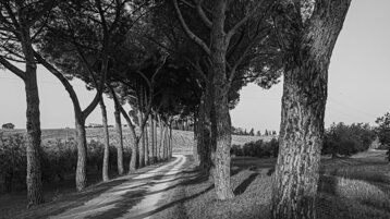 748ea172-6f70-4a6a-bf68-b7e6cf0da052