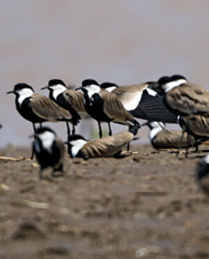 eyJpdCI6IiJ9 eyJpdCI6IiJ9