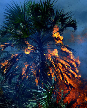 eyJpdCI6IiJ9 eyJpdCI6IiJ9