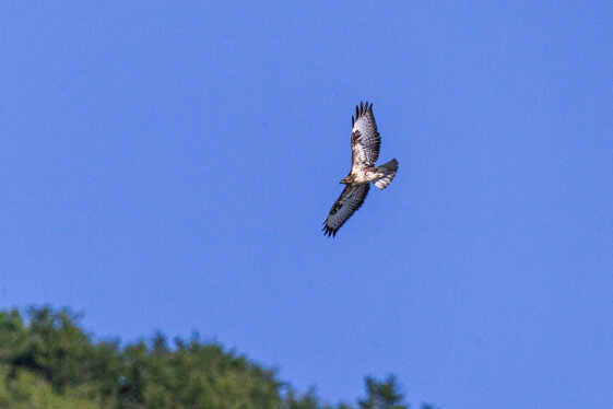 133296b0-1fdb-4ee2-af76-ff0e35f51e41