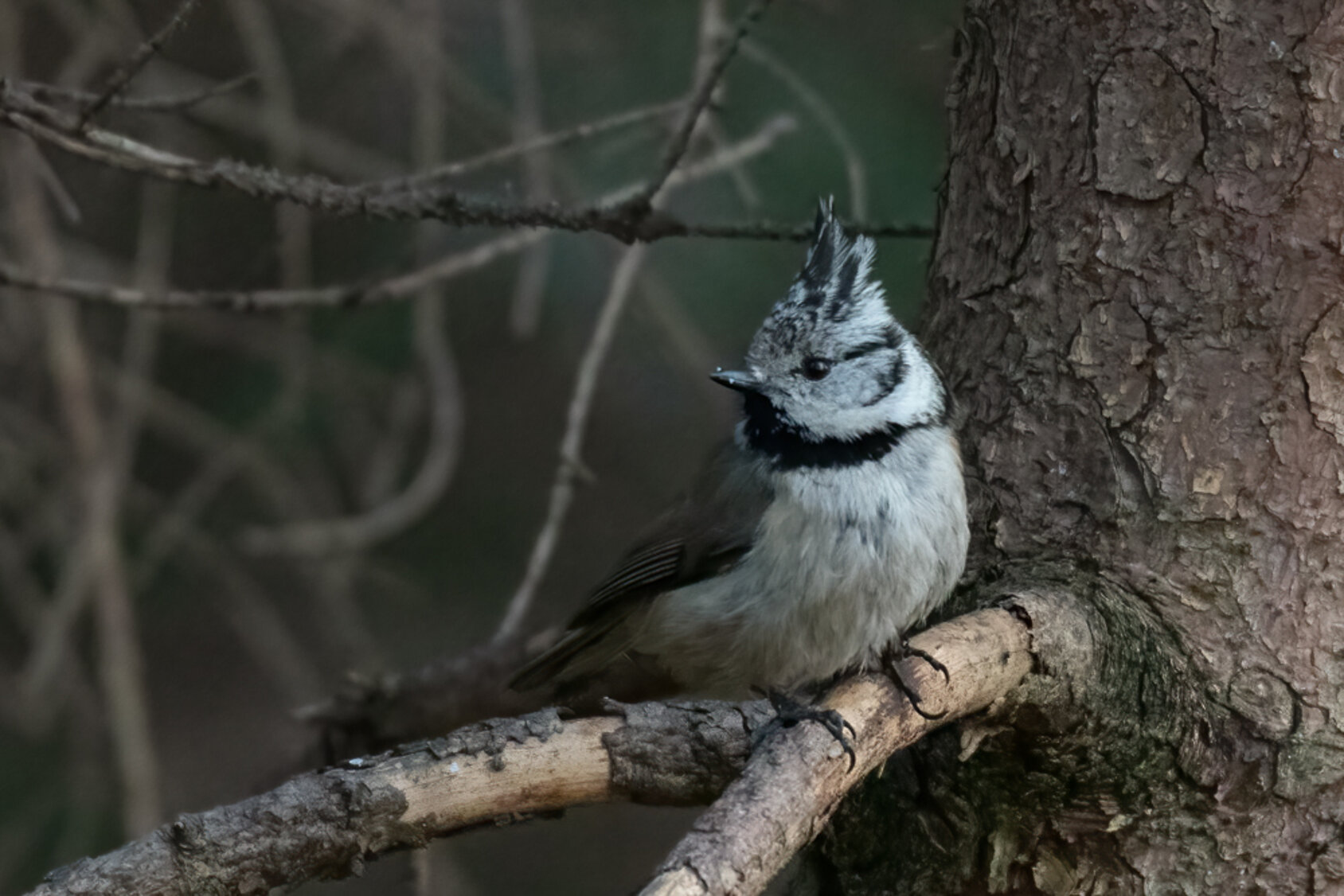 91923518-4b57-4279-8626-c34a297088e8 91923518-4b57-4279-8626-c34a297088e8