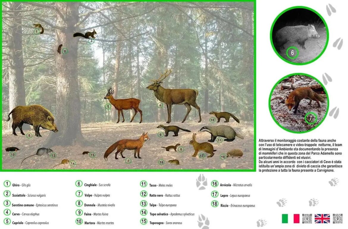 7972f45e-75b7-48f9-b0da-113574172566 7972f45e-75b7-48f9-b0da-113574172566