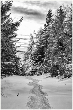 501f64a1-4b3e-4880-92f3-38248402be51