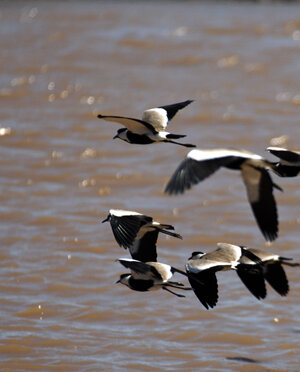 eyJpdCI6IiJ9 eyJpdCI6IiJ9