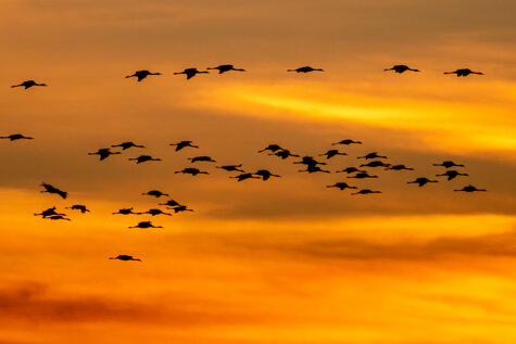 68f92797-0b4c-477d-9a1e-7a7460d0b8d5