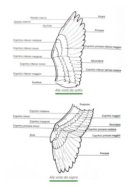 27f92c72-0a14-47bc-8fbd-0db8d7d5274f 27f92c72-0a14-47bc-8fbd-0db8d7d5274f