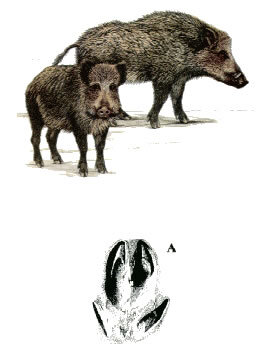 d2051736-df5e-418b-abdd-5df4b7279093 d2051736-df5e-418b-abdd-5df4b7279093