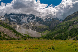 Luca Di Pinto Aviolo Peat Bogs - Adamello Lombardy Regional Nature Park - Vezza d'Oglio BS