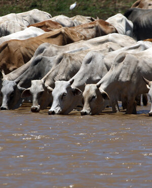 eyJpdCI6IiJ9 eyJpdCI6IiJ9