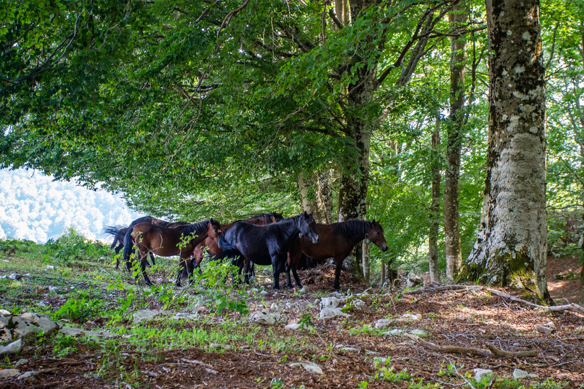 cb424ae5-9c48-49e8-b441-b6d3ed88c113