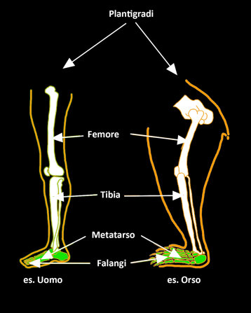 6be20e82-cc7f-4a5c-9f99-c59dc6db522f 6be20e82-cc7f-4a5c-9f99-c59dc6db522f