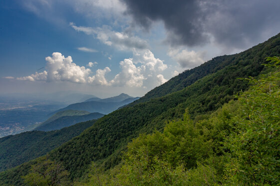 a09e2cf9-56fb-4494-b049-e1dfaf3cd2e0