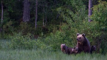 6549a549-8f9b-4c20-a4a1-e6c86cb660a8